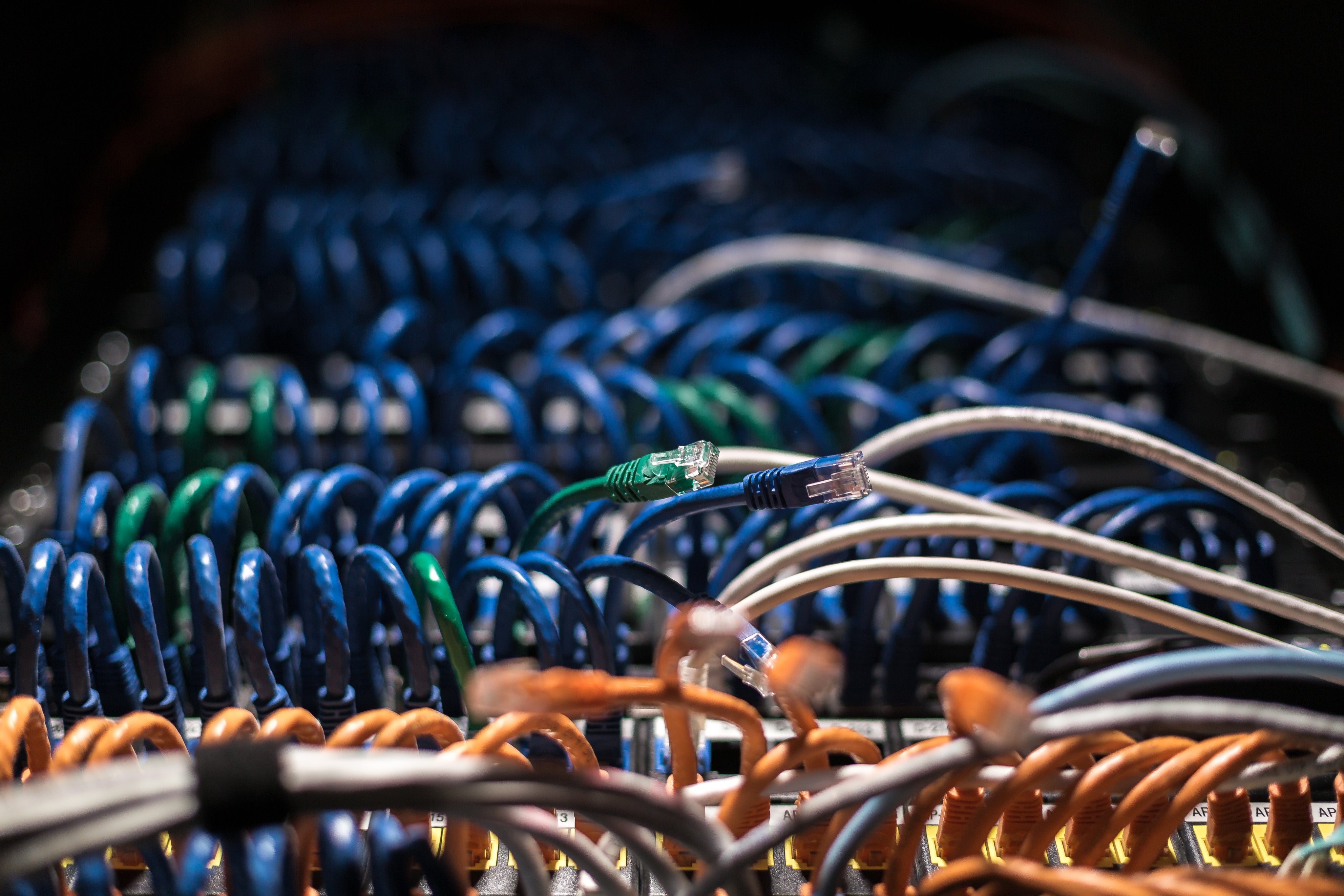 Connect Your Business to the Future