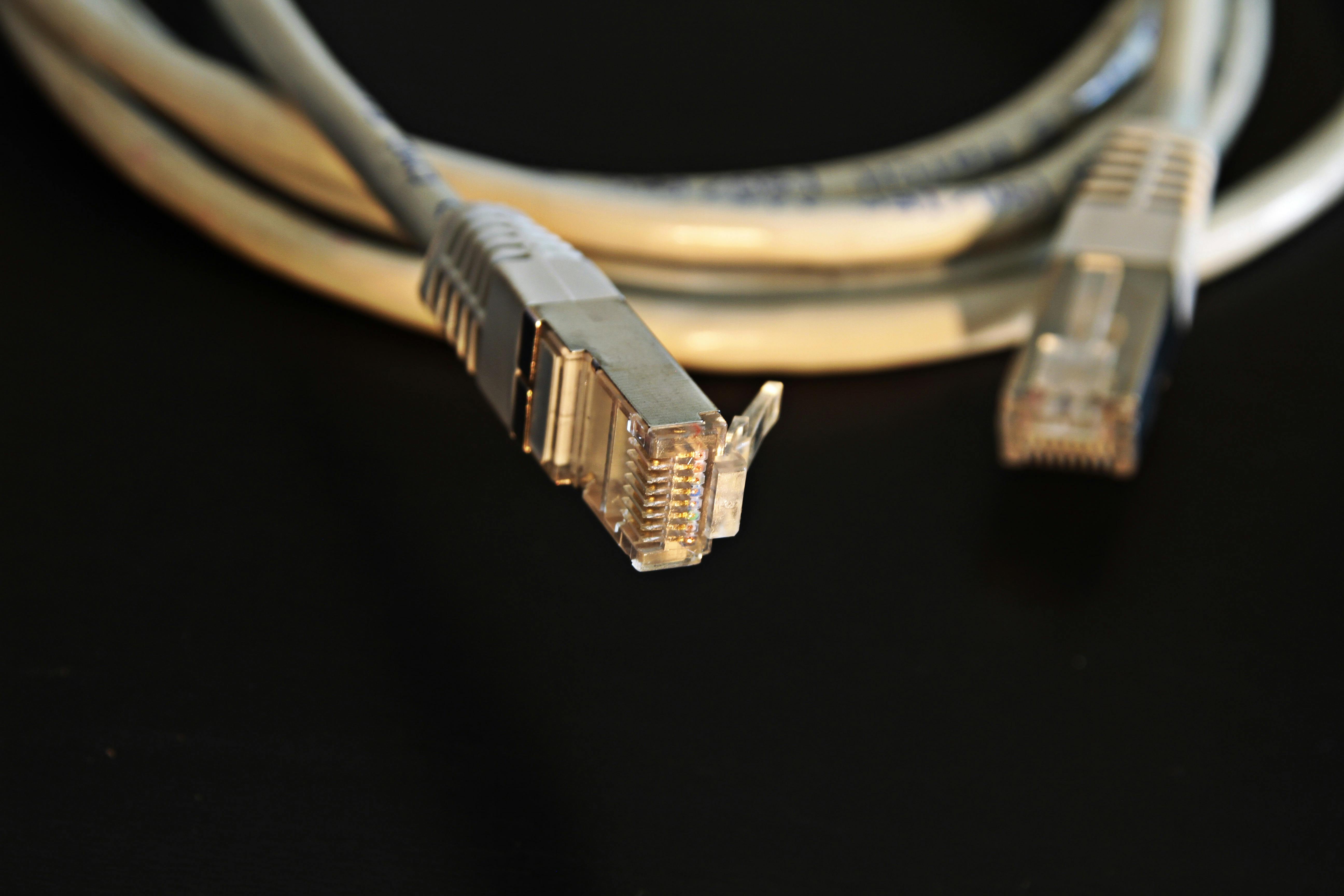 Connect Your Business to the Future